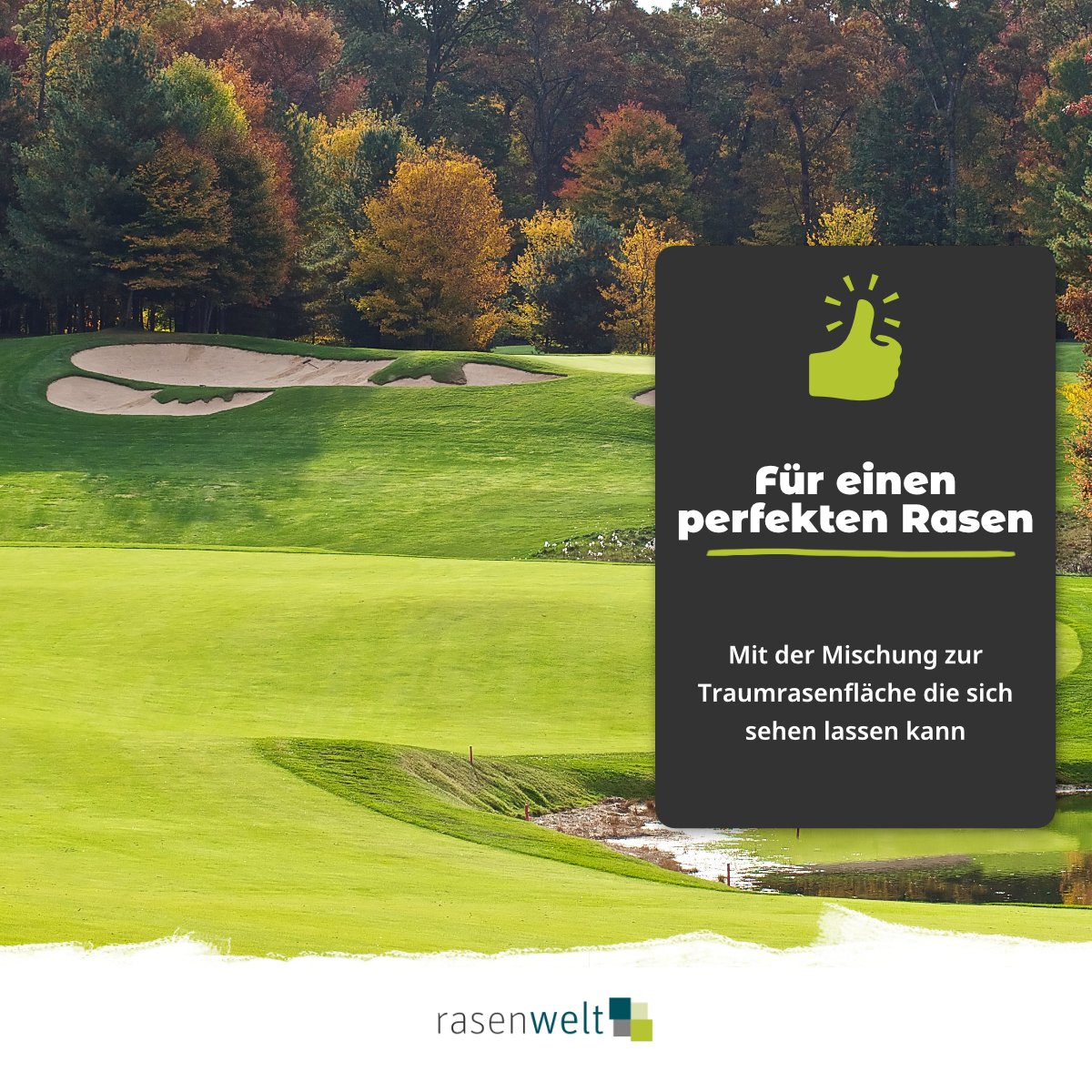 Rasensamen ARENA 4Elite Ultrafine - rasenwelt GmbH