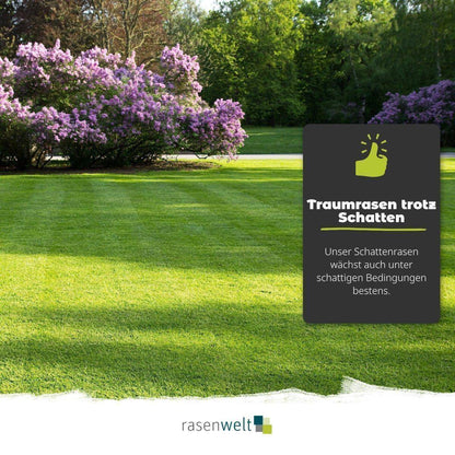 Schattenrasen ARENA Sun and Shade - rasenwelt GmbH