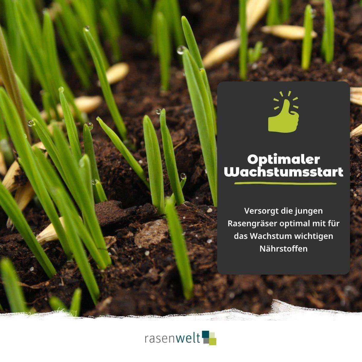 Starterdünger ARENA Starter 10+15+10 8kg - rasenwelt GmbH