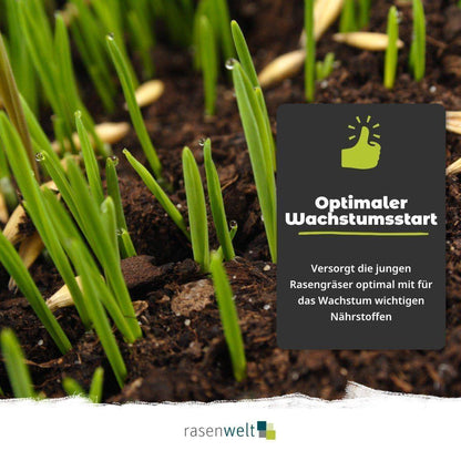 Starterdünger ARENA Starter 10+15+10 8kg - rasenwelt GmbH